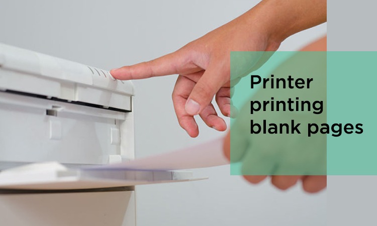 Why is My Printer Printing Blank Pages?[Solution]